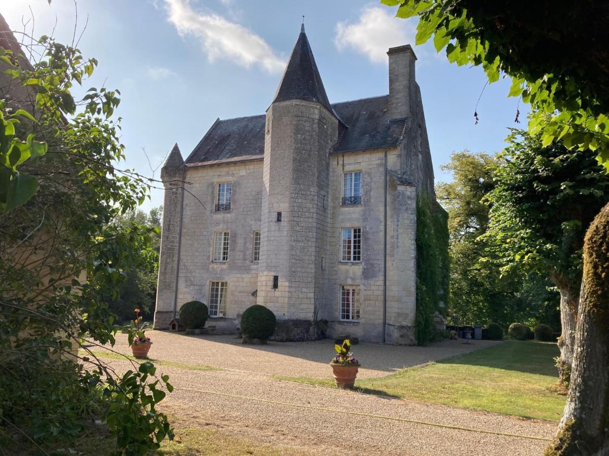Chateau De Re Le Petit-Pressigny Zewnętrze zdjęcie