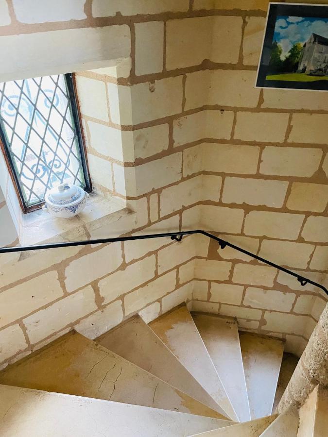 Chateau De Re Le Petit-Pressigny Zewnętrze zdjęcie