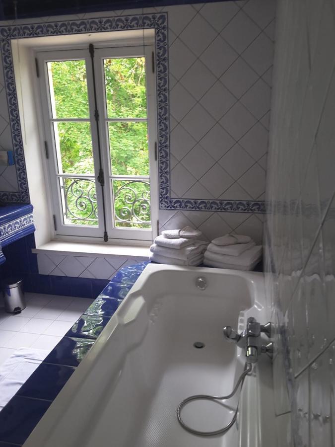 Chateau De Re Le Petit-Pressigny Zewnętrze zdjęcie