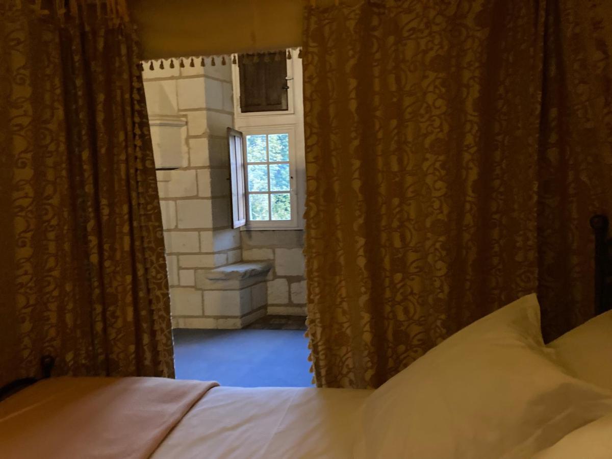 Chateau De Re Le Petit-Pressigny Zewnętrze zdjęcie