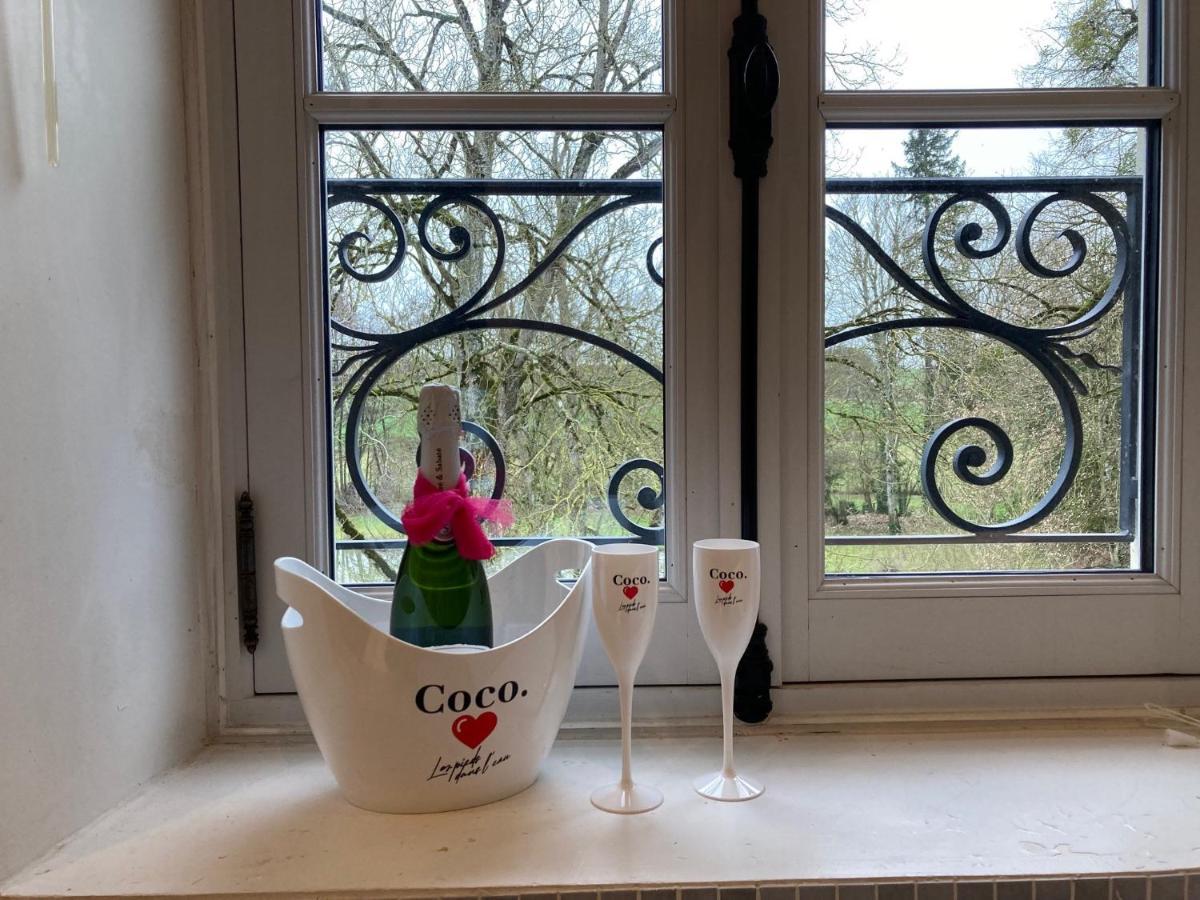 Chateau De Re Le Petit-Pressigny Zewnętrze zdjęcie